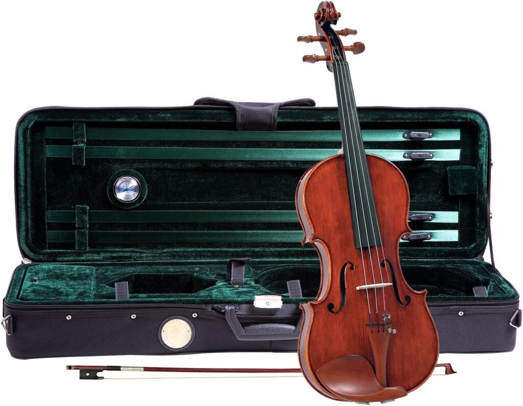 Best Violins for Beginners